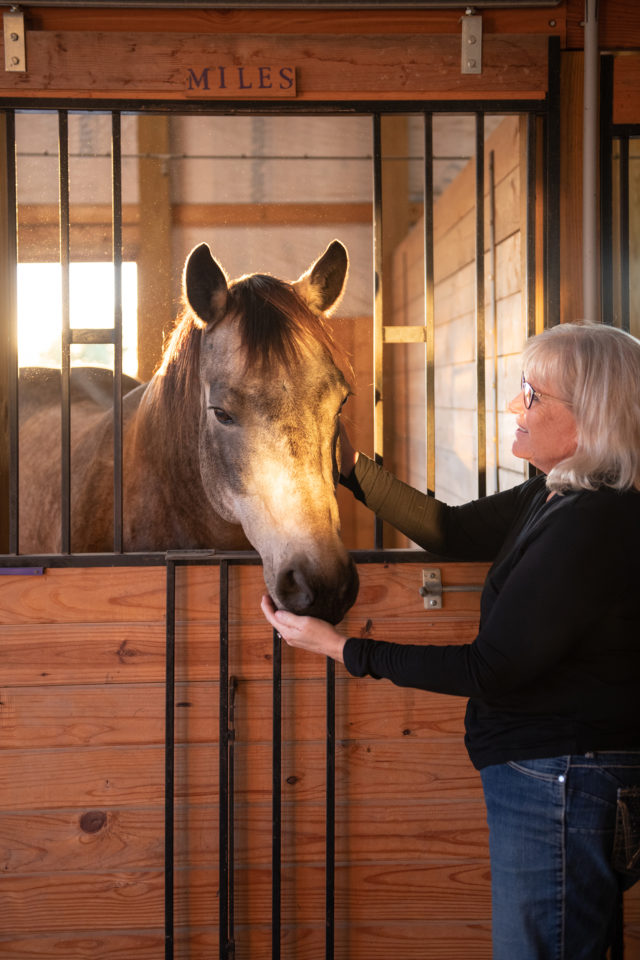 A horse in a barn